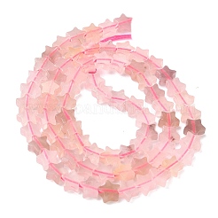 Natural Violet Strawberry Quartz Beads Strands&nbsp;G-G085-B61-02