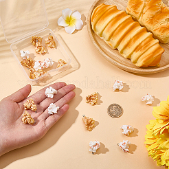 24Pcs 2 Colors Plastic Pendants&nbsp;KY-SC0002-66