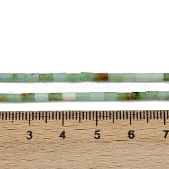 Natural Chrysoprase Beads Strands&nbsp;G-M389-22