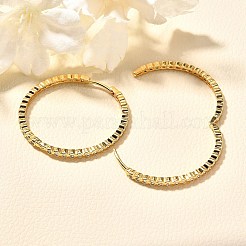 Rack Plating Brass Micro Pave Clear Cubic Zirconia Hoop Earrings for Women&nbsp;EJEW-C125-17B-G