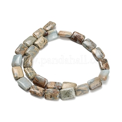 Natural Aqua Terra Jasper Beads Strands&nbsp;G-Z110-F01-10x14mm