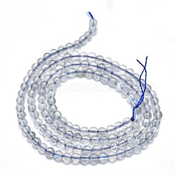Natural Labradorite Beads Strands&nbsp;G-K305-04-A