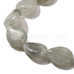 Natural Labradorite Beads Strands&nbsp;G-P561-B05-01