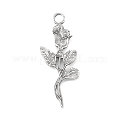 Non-Tarnish 304 Stainless Steel Pendants&nbsp;STAS-F287-22P