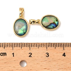 Natural Paua Shell Oval Charms&nbsp;KK-G538-34G