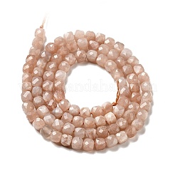 Natural Peach Moonstone Beads Strands&nbsp;G-D470-09