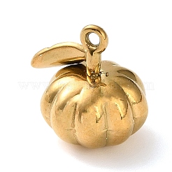 304 Stainless Steel Charms&nbsp;STAS-D203-01G