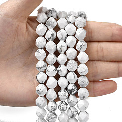 Natural Howlite Beads Strands&nbsp;G-Z119-A43-03
