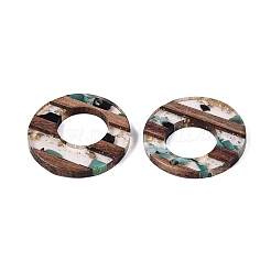 10Pcs 5 Styles Transparent Resin & Walnut Wood Pendants&nbsp;RESI-N053-08