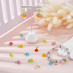 100Pcs Transparent Acrylic Charms&nbsp;PALLOY-DC00041