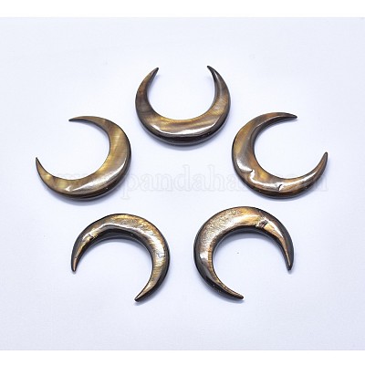 Shell Cabochons&nbsp;SSHEL-P015-79-35mm-M-1