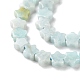Natural Amazonite Beads Strands&nbsp;G-G085-B45-02-4