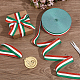 Polyester Braid Ribbon&nbsp;OCOR-WH0816-012A-1-4