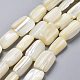 Natural Shell Beads Strands&nbsp;SSHEL-K026-01-1