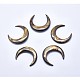 Shell Cabochons&nbsp;SSHEL-P015-79-35mm-M-2