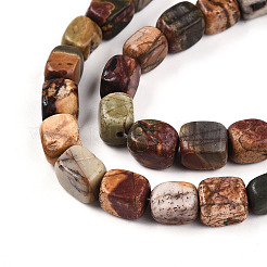 Natural Picasso Jasper/Polychrome Jasper Beads Strands&nbsp;G-N346-04A-05