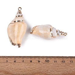 Electroplated Golden Brass Trim Natural Spiral Shell Pendants&nbsp;SSHEL-N042-36