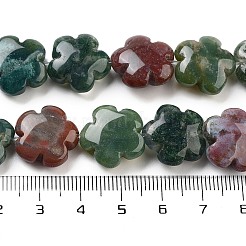 Natural Indian Agate Beads Strands&nbsp;G-F769-K01-01