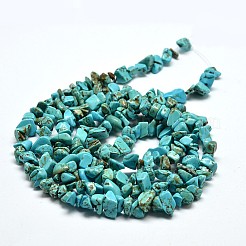 Chips Synthetic Turquoise Beads Strands&nbsp;G-N0134-08A