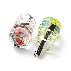 Translucent Resin Pendants&nbsp;RESI-D067-01L