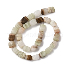 Natural Green Banded Calcite(Afghan Jade) Beads Strands&nbsp;G-D098-D16