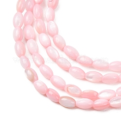 Dyed Natural Freshwater Shell Beads Strands&nbsp;SH-CBA2978-06D