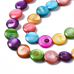 Natural Freshwater Shell Beads Strands&nbsp;SHEL-S278-019A