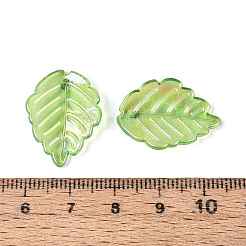 Transparent Plastic Pendants&nbsp;KY-N025-13