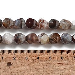 Natural Botswana Agate Beads Strands&nbsp;G-NH0002-C01-03