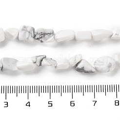 Natural Howlite Beads Strands&nbsp;G-P497-01C-64