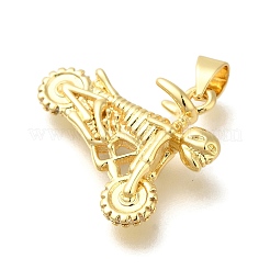 Rack Plating Brass Pendants&nbsp;KK-Z086-31G