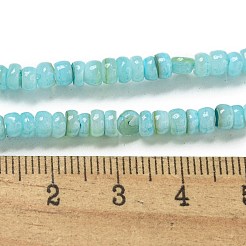 Dyed Natural Freshwater Shell Beads Strands&nbsp;BSHE-G039-07C