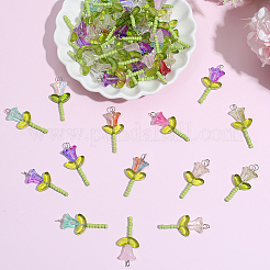 60Pcs Glass Pendants&nbsp;PALLOY-BM00032