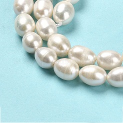 Natural Cultured Freshwater Pearl Beads Strands&nbsp;PEAR-E016-091