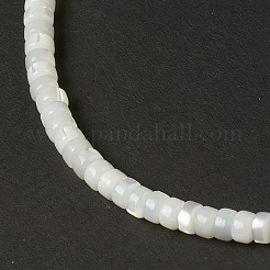 Natural Trochid Shell/Trochus Shell Beads&nbsp;BSHE-B005-12