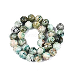 Natural Green Line Jasper  Beads Strands&nbsp;G-B128-A03-05