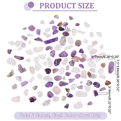 Natural Amethyst and Natural Rose Quart Chips Beads&nbsp;G-PH0031-02