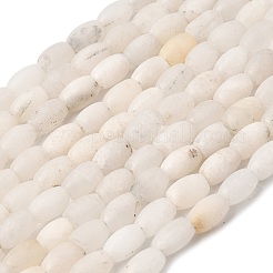 Natural White Jade Beads Strands&nbsp;G-F591-19A