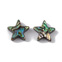 Natural Abalone Shell/Paua Shell Beads&nbsp;SSHEL-M021-01