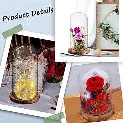 Glass Dome Cover&nbsp;AJEW-SC0001-61B