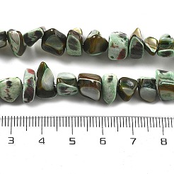 Dyed Natural Trochus Shell Beads Strands&nbsp;BSHE-Z006-01A