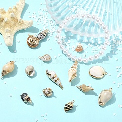 14Pcs 14 Colors Electroplated Natural Mixed Shell Pendants&nbsp;BSHE-YW0001-21