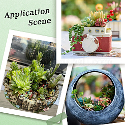 PVC Artificial Succulent Plant&nbsp;AJEW-SP0004-35A