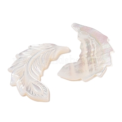 Natural White Shell Carved Cabochons&nbsp;SSHEL-C012-03