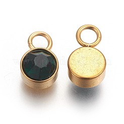 Ion Plating(IP) Glass Rhinestone Charms&nbsp;STAS-F189-B03