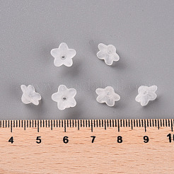 Transparent Acrylic Beads&nbsp;PL554