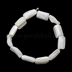 Natural Trochid Shell/Trochus Shell Beads Strands&nbsp;SH-CBA2978-20A