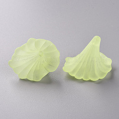 Transparent Acrylic Beads&nbsp;BSF796-C17