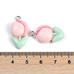 Resin Pendants&nbsp;LS-RESI-I061-04A