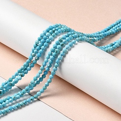 Natural Howlite Beads Strands&nbsp;G-C025-03B-02